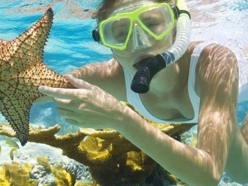 snorkeling-600x320